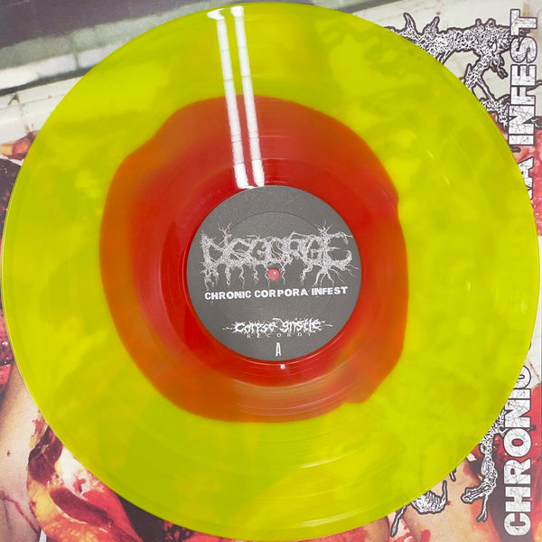 DISGORGE - Chronic Corpora Infest - LP