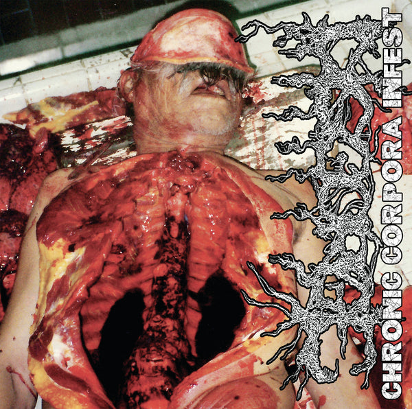 DISGORGE - Chronic Corpora Infest - LP
