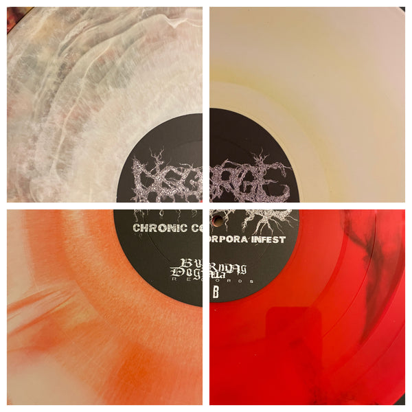 DISGORGE - Chronic Corpora Infest - LP