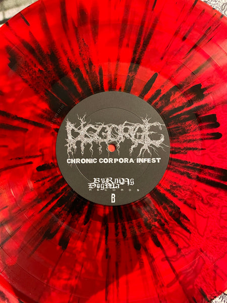 DISGORGE - Chronic Corpora Infest - LP