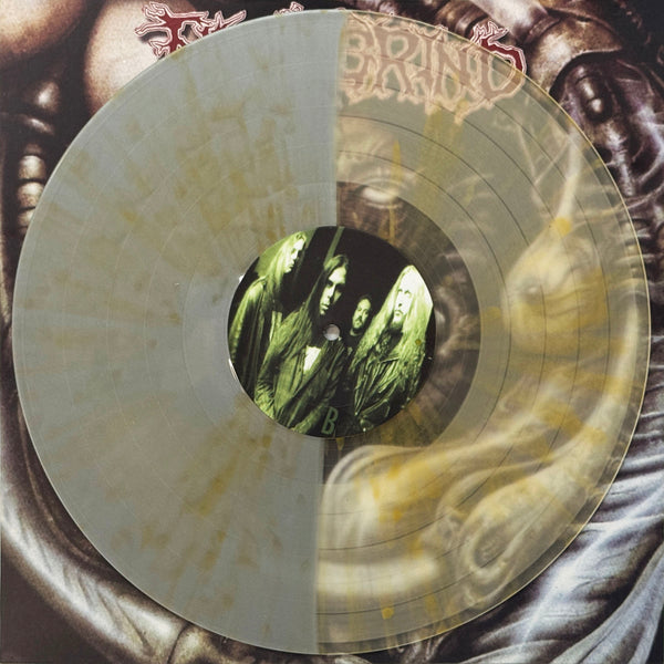 FLESHGRIND - Destined For Defilement - LP