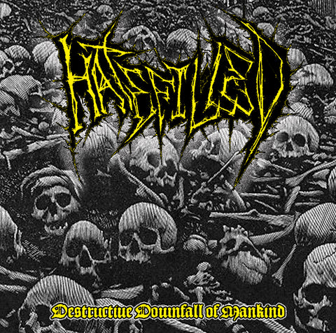 HATEFILLED - Destructive Downfall of Mankind - CD