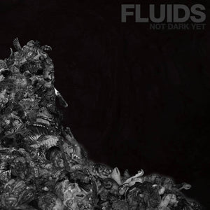 FLUIDS - Not Dark Yet - CD
