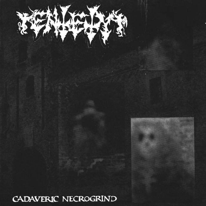 ENTETY - Cadaveric Necrogrind - LP