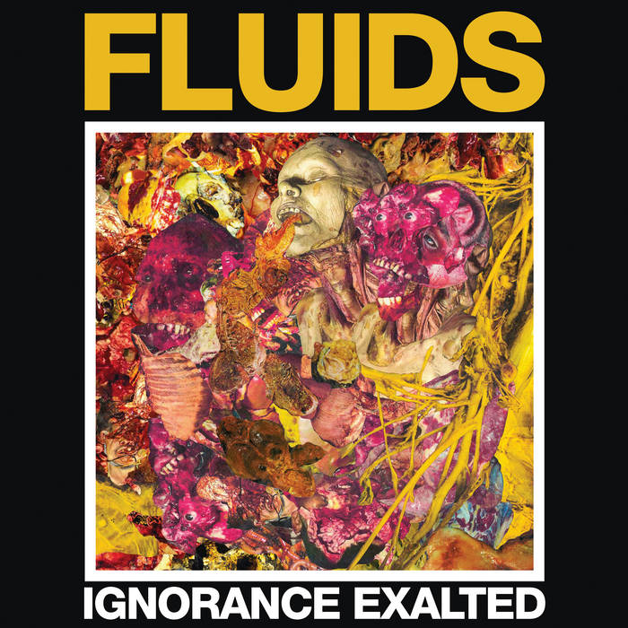 FLUIDS - Ignorance Exalted - CD