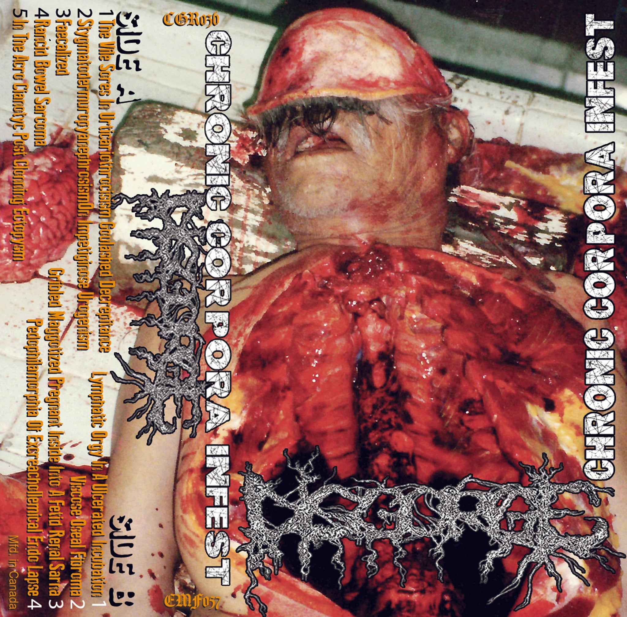 DISGORGE - Chronic Corpora Infest - cassette