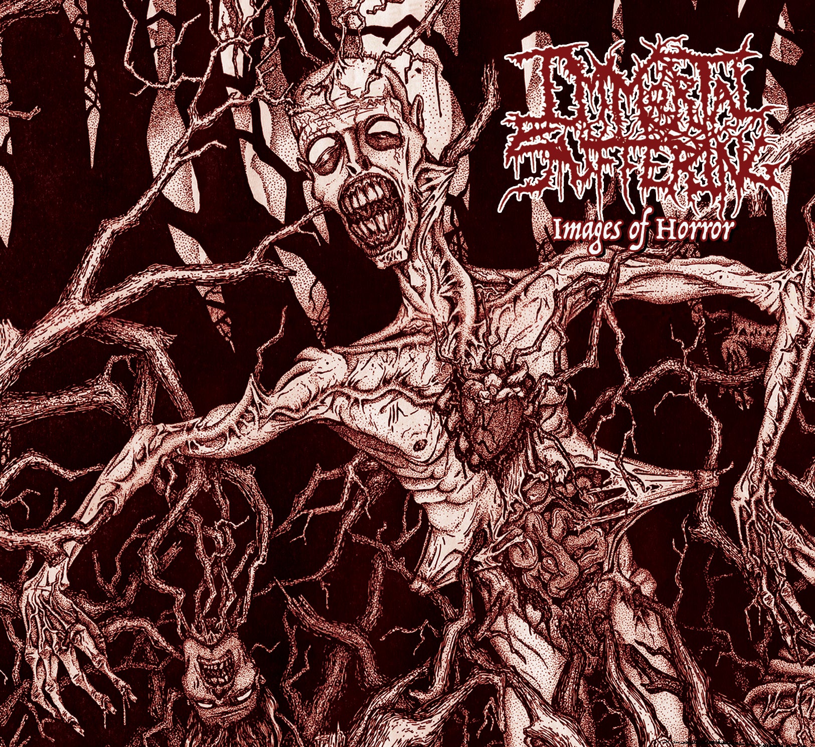 IMMORTAL SUFFERING - Images of Horror - CD