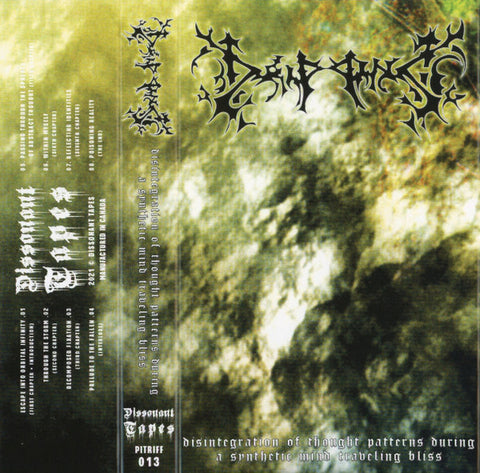 DRIPPING - Disintegration Of Thought Patterns During A Synthetic Mind Traveling Bliss - cassette
